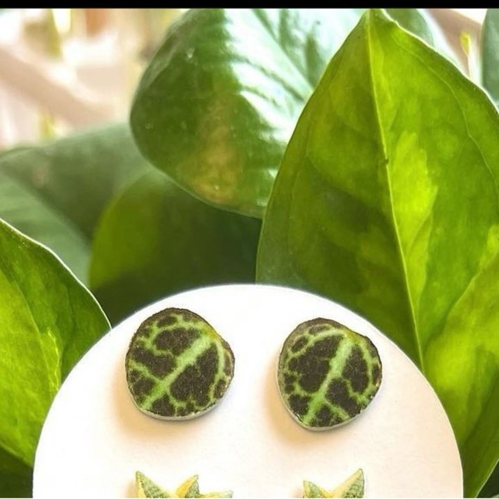 Handmade by me String of turtles stud